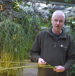 Winterstek maken van kale takken (video)