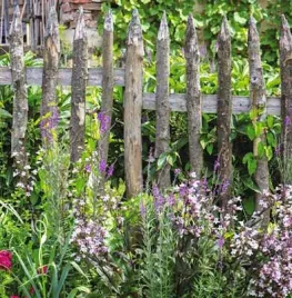 Zaaien voor een natuurlijke tuin