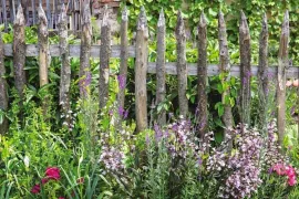 Zaaien voor een natuurlijke tuin