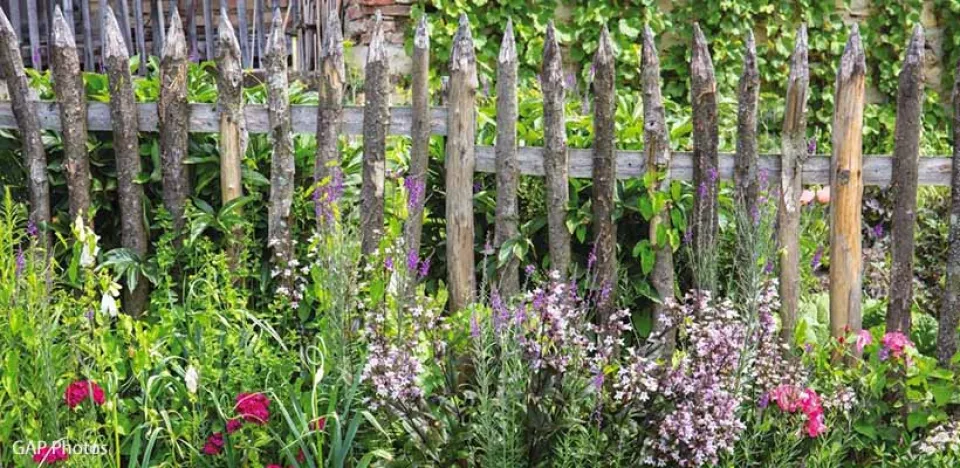 Afbeelding Zaaien voor een natuurlijke tuin