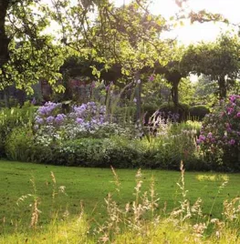 Zaden bestellen voor de schaduwtuin