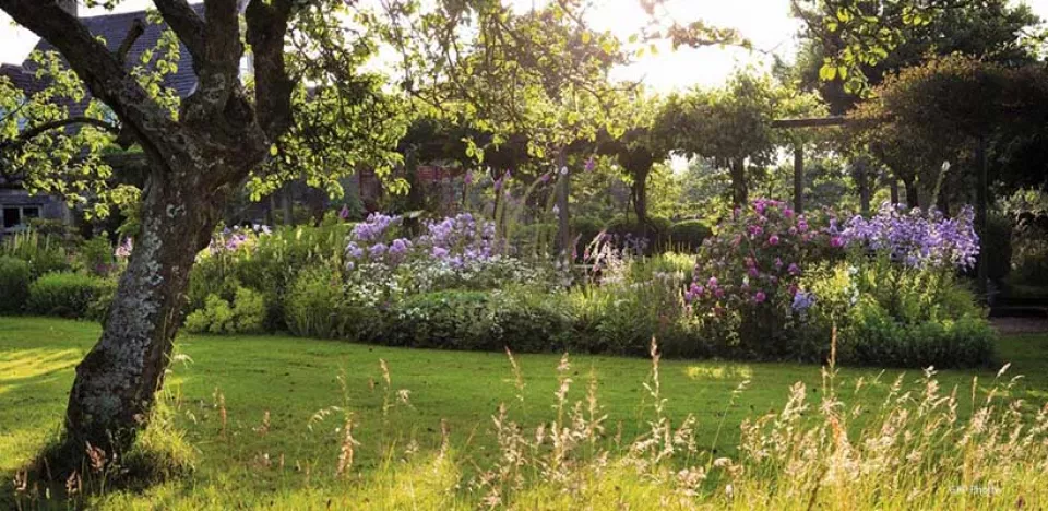 Afbeelding Zaden bestellen voor de schaduwtuin