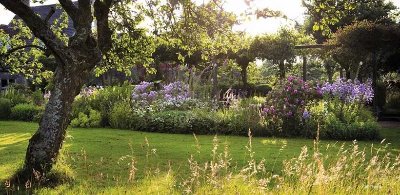 Zaden bestellen voor de schaduwtuin
