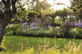 Zaden bestellen voor de schaduwtuin