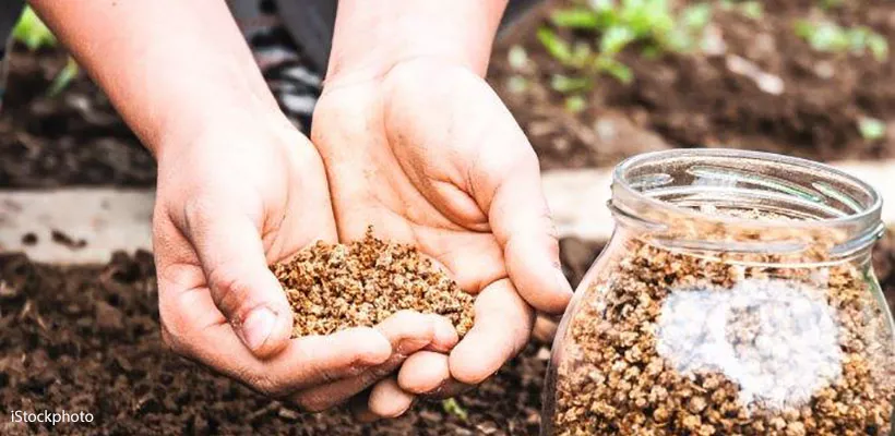 Zaaien voor beginners en zaden bestellen