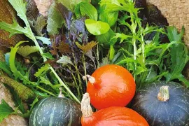 Zelf Aziatische groenten kweken en zaden bestellen