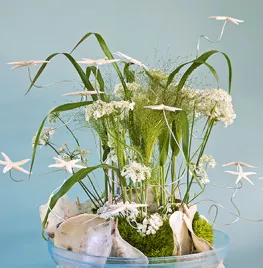 Zomersterren DIY