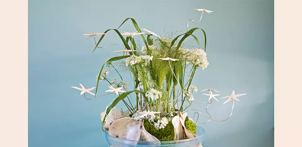 Afbeelding Zomersterren DIY