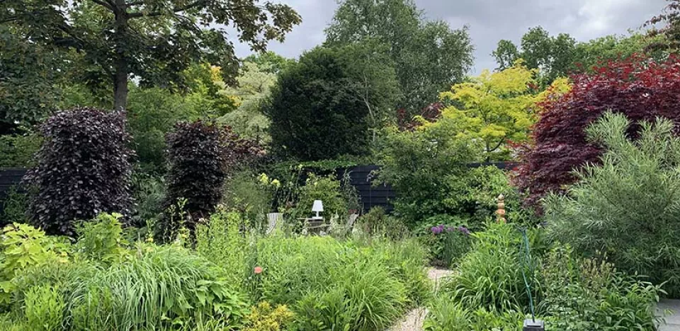 Afbeelding G&B OpentuinTV: Tuin van Liesbeth en Just van Duin in Heiloo