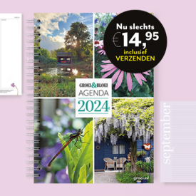 Nu te koop: de Groei & Bloei agenda 2024