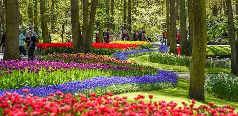 Keukenhof: het fleurigste dagje uit
