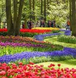 Keukenhof: het fleurigste dagje uit