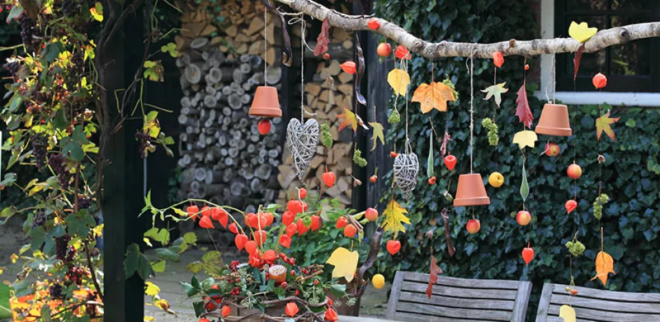 Afbeelding Herfstgordijn