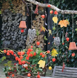 Herfstgordijn