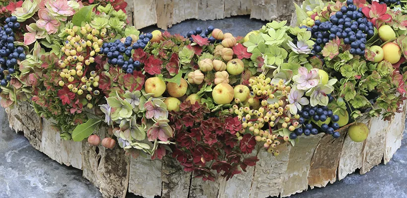 Herfstkrans met berkenschors en hortensia