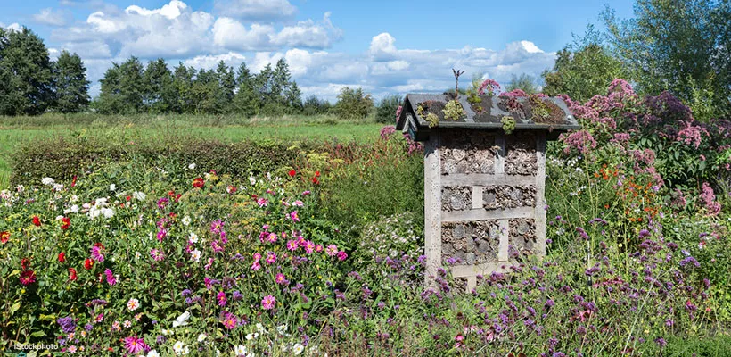 Groei & Bloei Tienpuntenplan: klimaatvriendelijk tuinieren