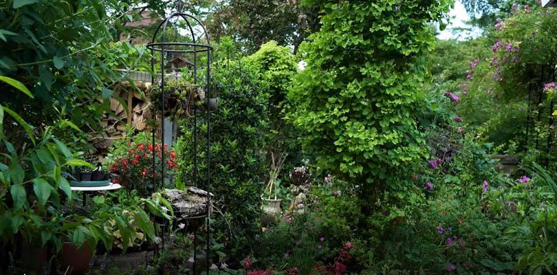 G&B OpentuinTV: Tuin van Mercedes Docter in Heiloo