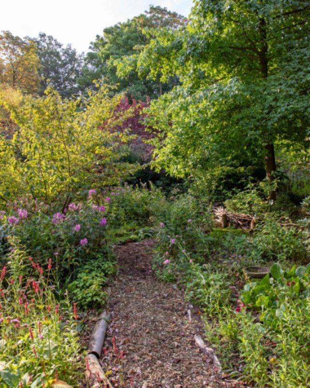 De beste levende tuin: winnaars aan het woord