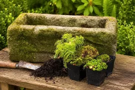 Maak je eigen plantenbak van hypertufa