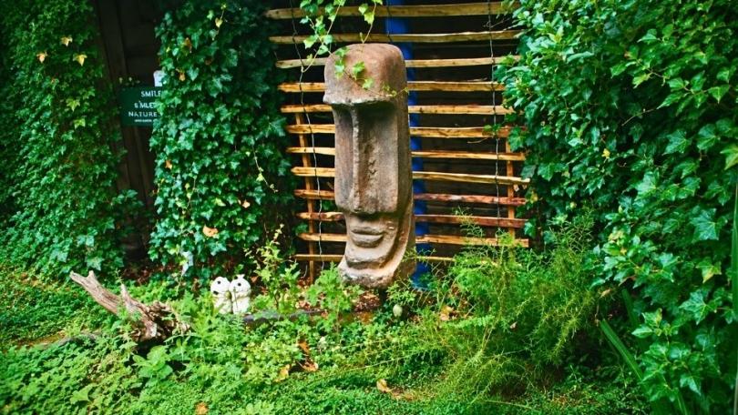 Maak je eigen plantenbak van hypertufa