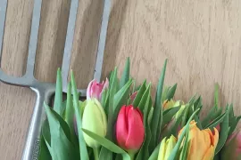 Nieuw: webshop Golden Rabbit