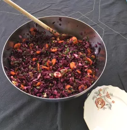 Rode kool salade met peterselie en munt