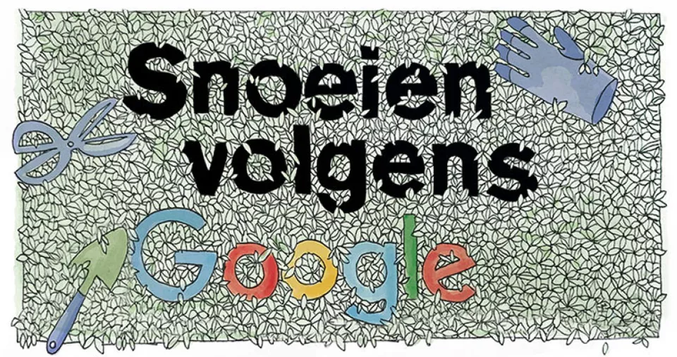 Afbeelding Hoe snoei ik ... 10 toppers!