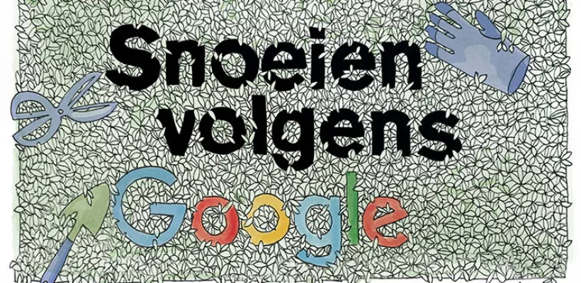 Hoe snoei ik ... 10 toppers!