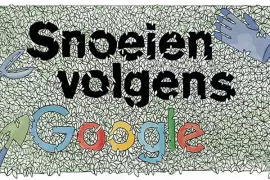 Hoe snoei ik ... 10 toppers!