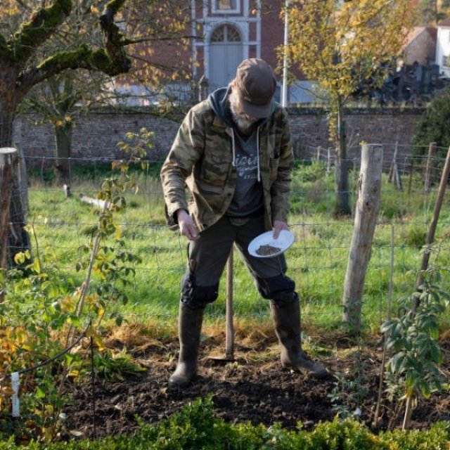 November op kasteel Hex: bollen planten en blote-wortelplanten