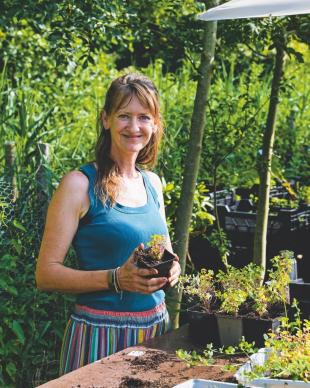 Spontane planten: kijk eens wat er vanzelf in je tuin groeit