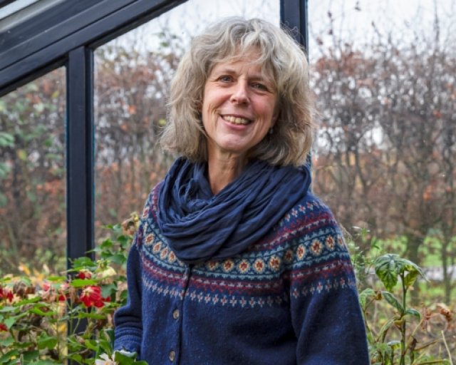 De beste langbloeiende geraniums voor border en pot
