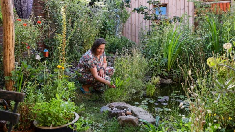 Zo transformeerde Katja in 1,5 jaar tijd haar saaie tuin in een levendige dwaaltuin