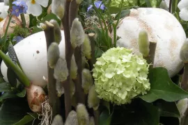 Uit eigen tuin II