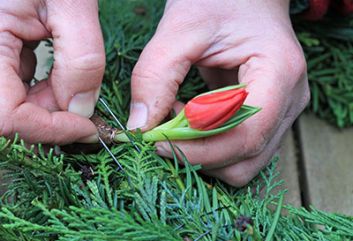 Tulpenkrans voor kerst