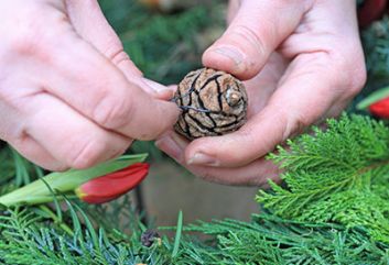 Tulpenkrans voor kerst
