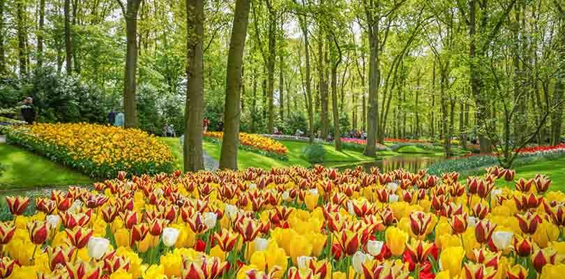 Keukenhof: het fleurigste dagje uit