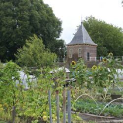 Ontdek de open tuinen in Enkhuizen!