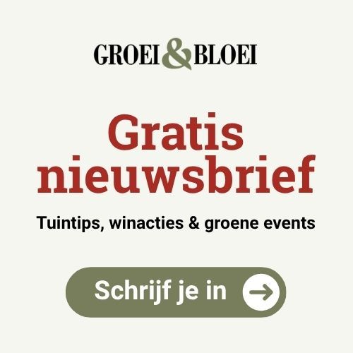 Groei header ad