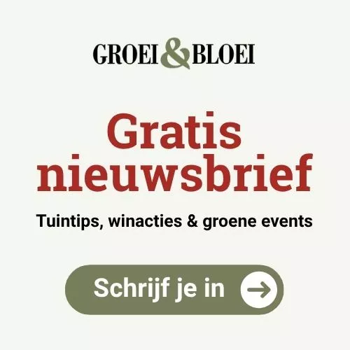 Advertentie