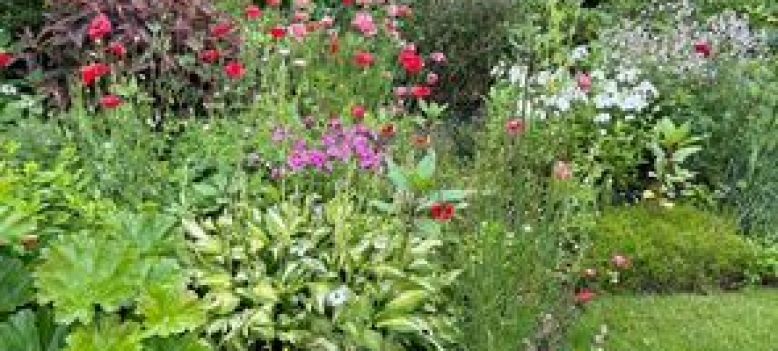 Kom naar de open tuinenavond in Lelystad