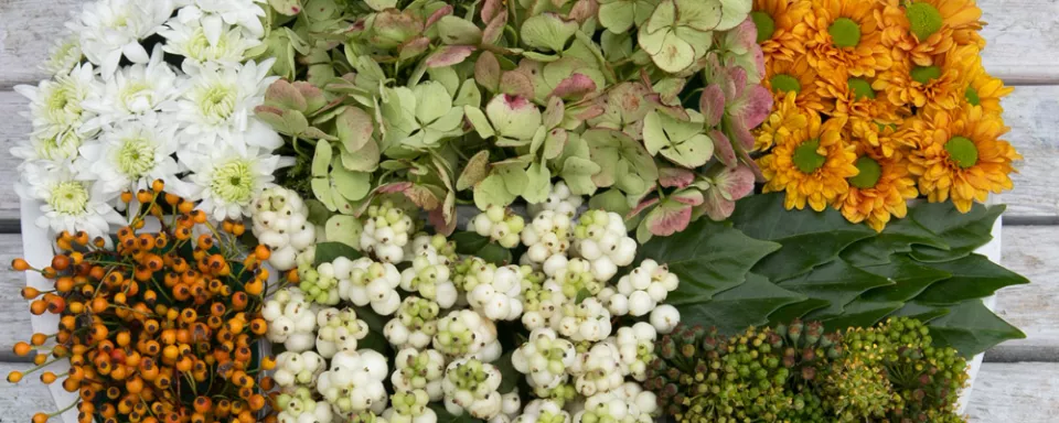 Afbeelding Letterbak vol bloemen