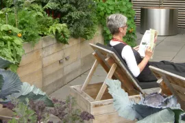 Zelfmaken: groentebakken en ligbed