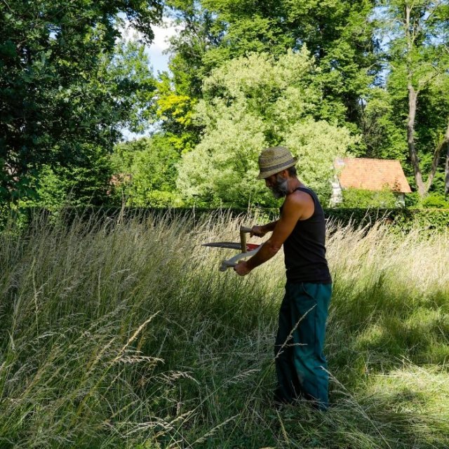 Ecologisch moestuinieren op een landgoed in juni