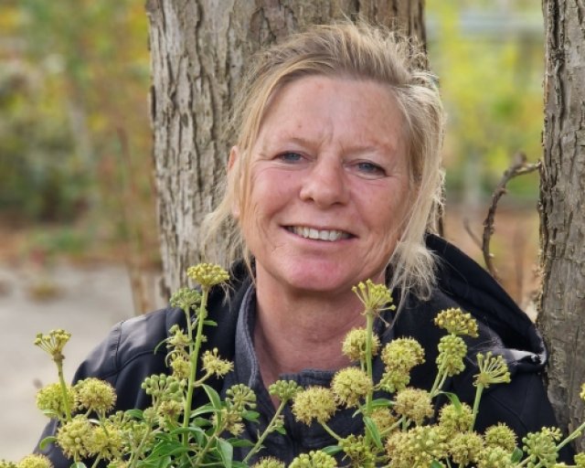 De beste klimopsoorten voor een duurzame tuin