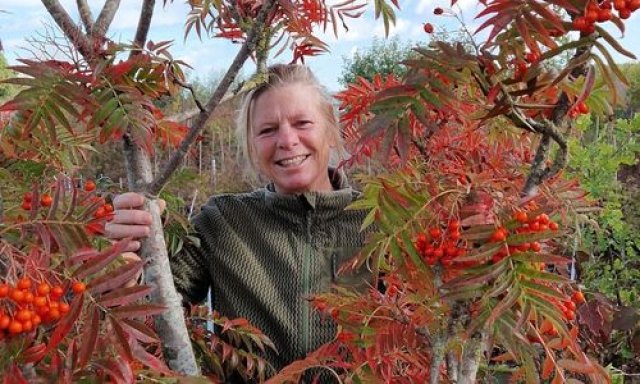 Herfstkleur in de tuin met deze 7 planten