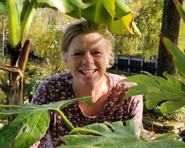 De beste winterharde jungleplanten voor je tuin