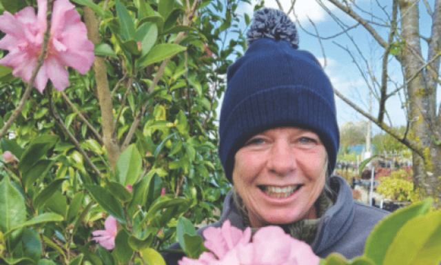 Met deze 7 planten zorg je voor een kleurrijke wintertuin
