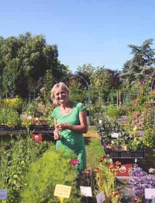 Vaste planten zaaien in de zomer: makkelijker dan je denkt
