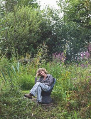 Wilde ooievaarsbek zaaien: drie soorten voor een tuin vol insecten